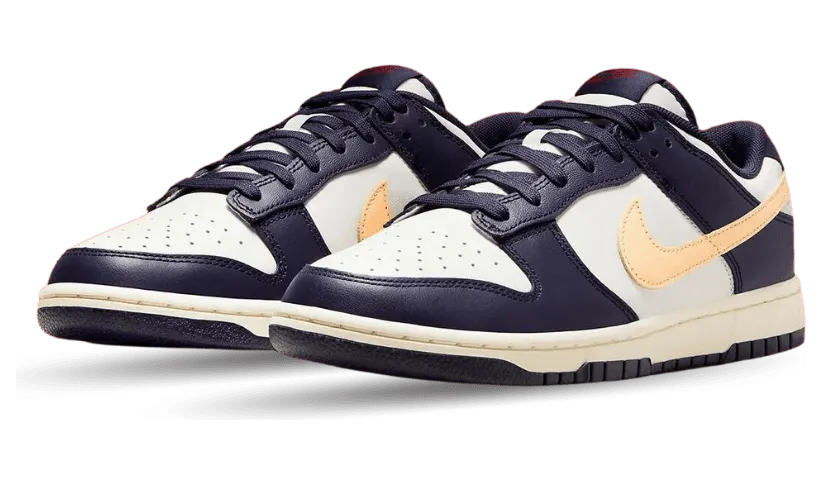 nike-dunk FV8106-181