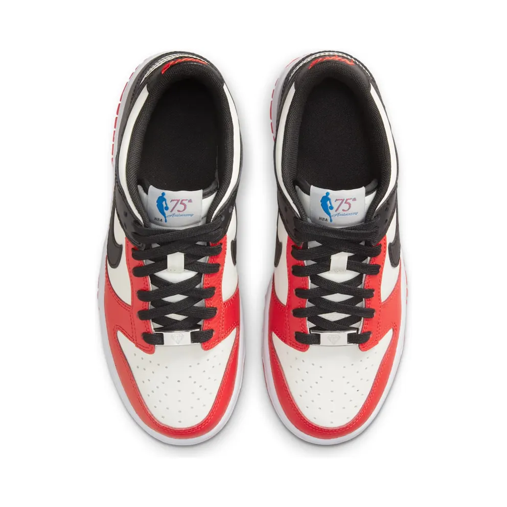 Nike Dunk Low EMB NBA 75th Anniversary Chicago (GS) (DO6288-100)