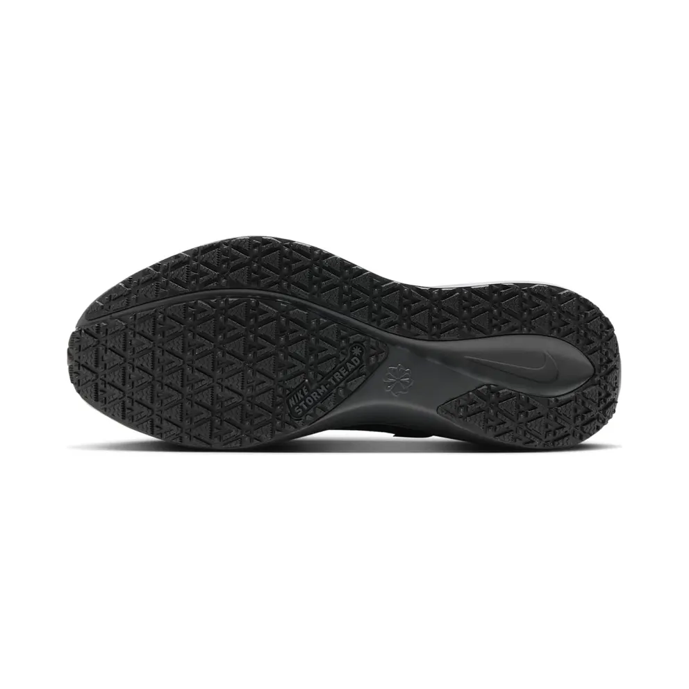 Nike Air Zoom Pegasus 41 GTX “Black Anthracite” (FQ1356-001)