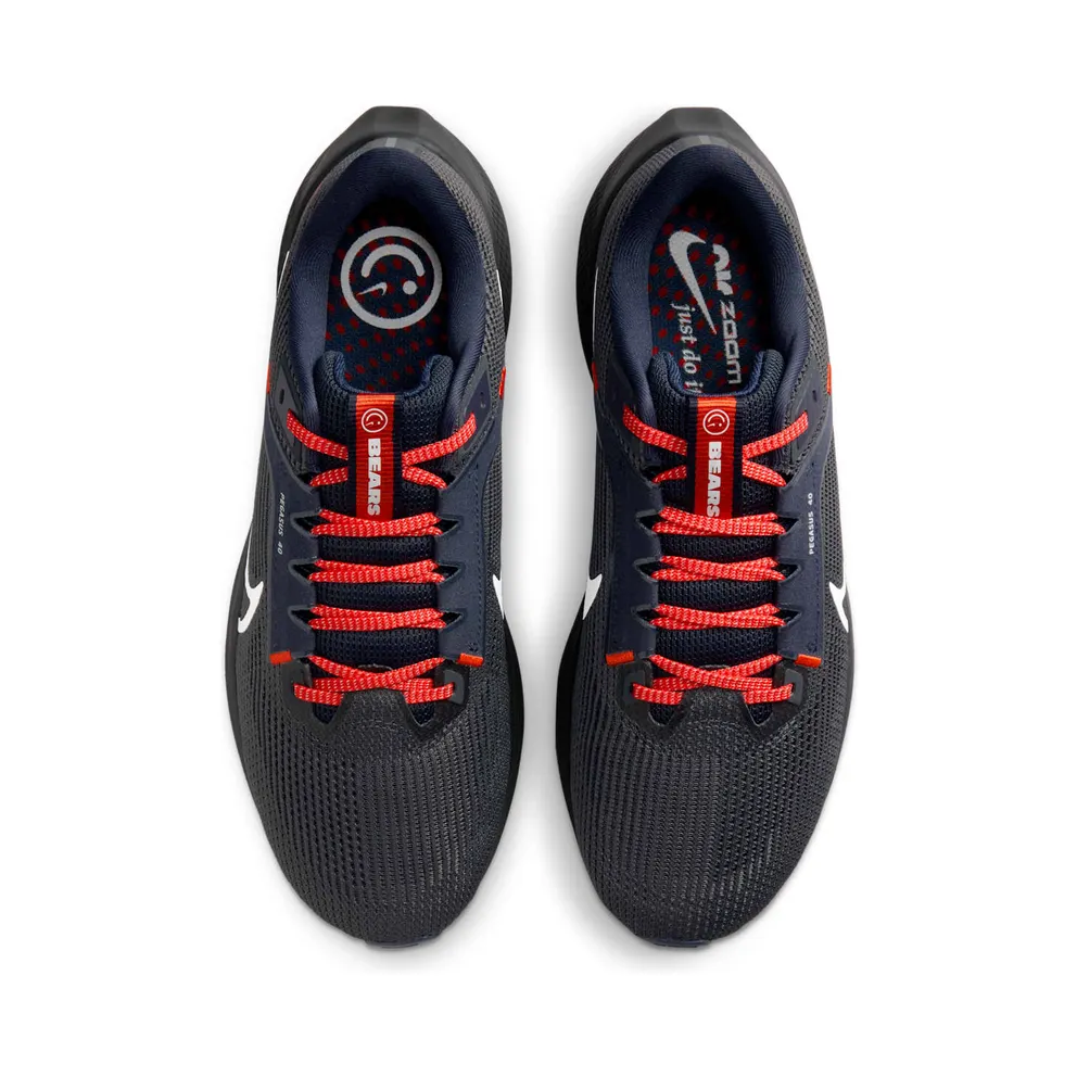 Nike Pegasus 40 Chicago Bears (DZ5989-001)