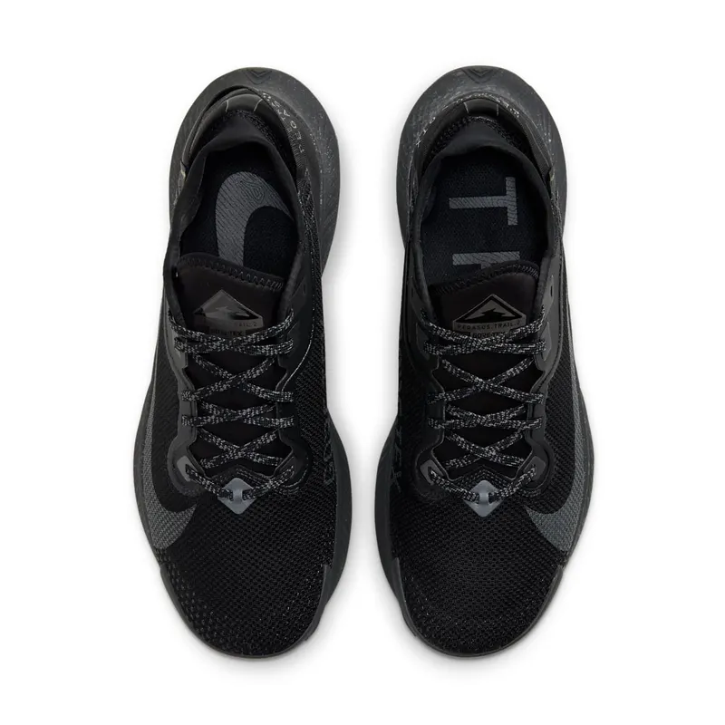 Nike Pegasus Trail 2 GORE-TEX Trail Running Black (CU2016-001)