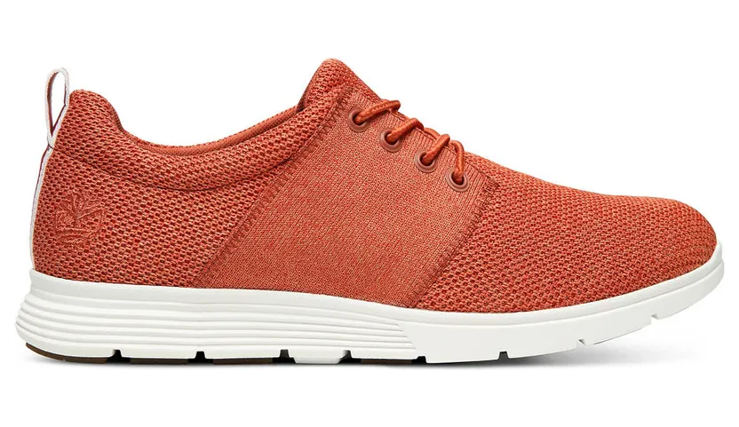 timberland-bradstreet A21CW432
