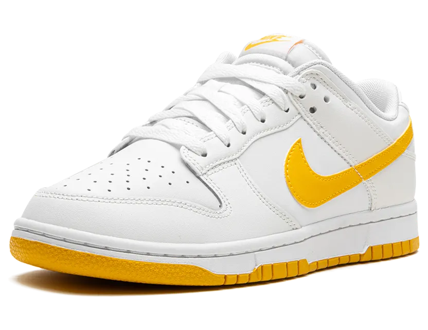 nike-dunk DV0831-110