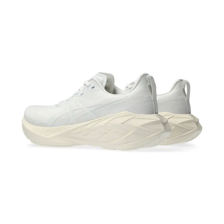 asics-novablast 1012B510.102