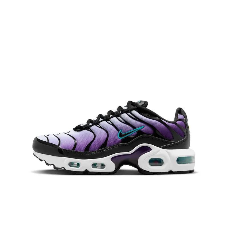 Nike Air Max Plus Reverse Grape (FQ2412-500)