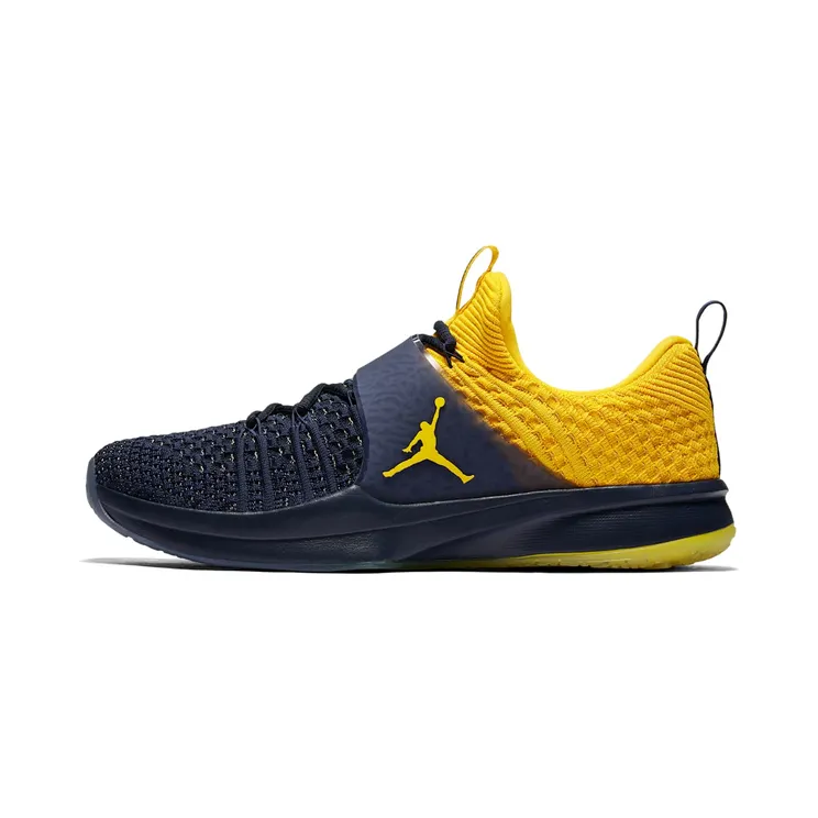 Jordan Trainer 2 Flyknit Michigan