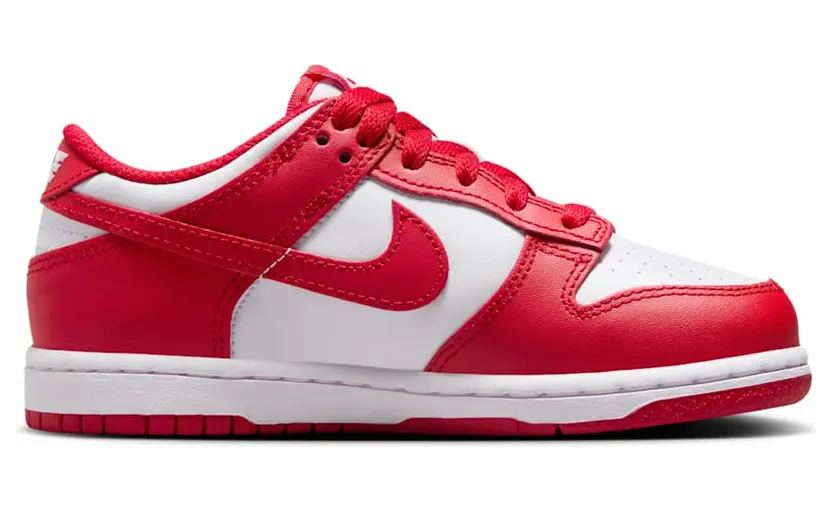 nike-dunk FB9108-119