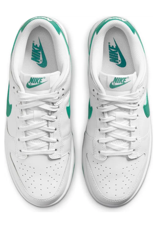 nike-dunk DD1503-112