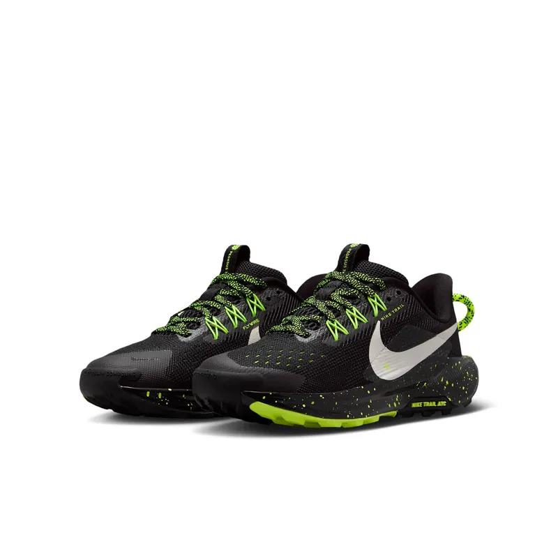 Nike Pegasus Trail Black (FV5638-006)
