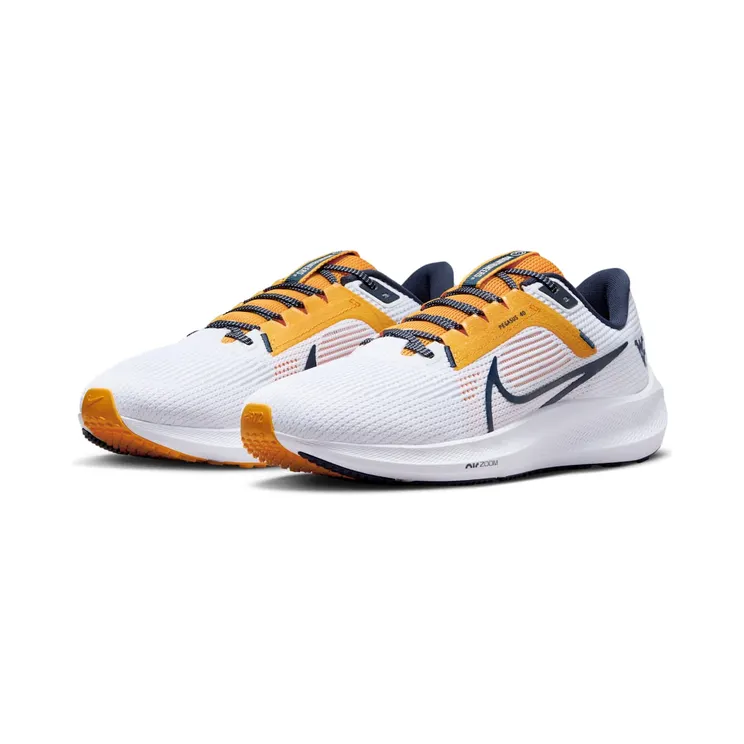 nike-air-pegasus DZ6005-100