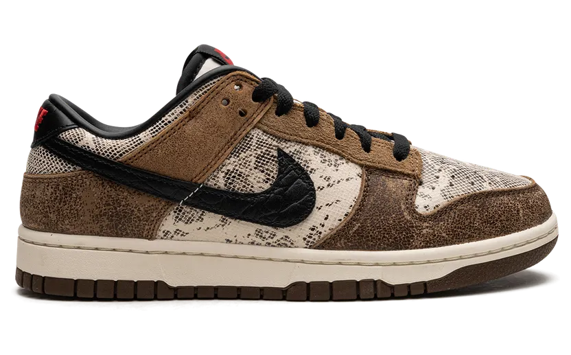 nike-dunk FJ5434-120
