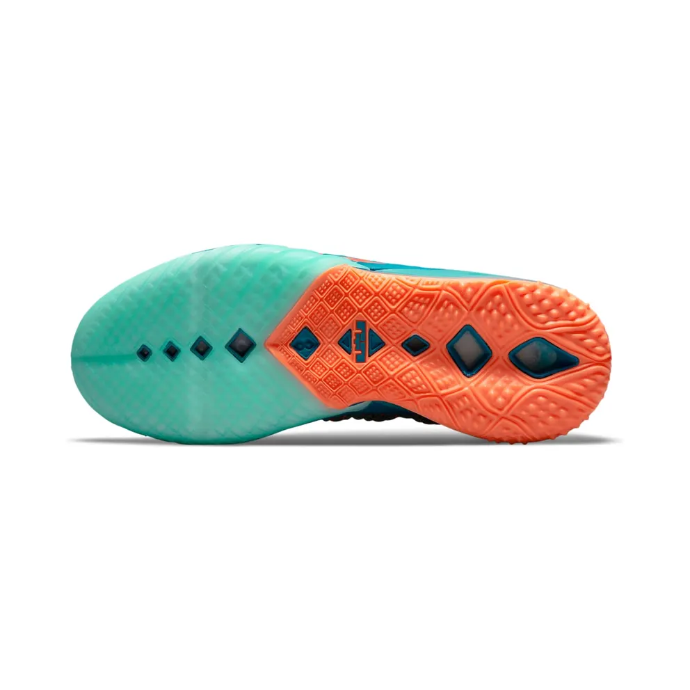Nike LeBron 18 We Are Family (CQ9283-300)