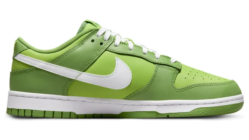nike-dunk DJ6188-300