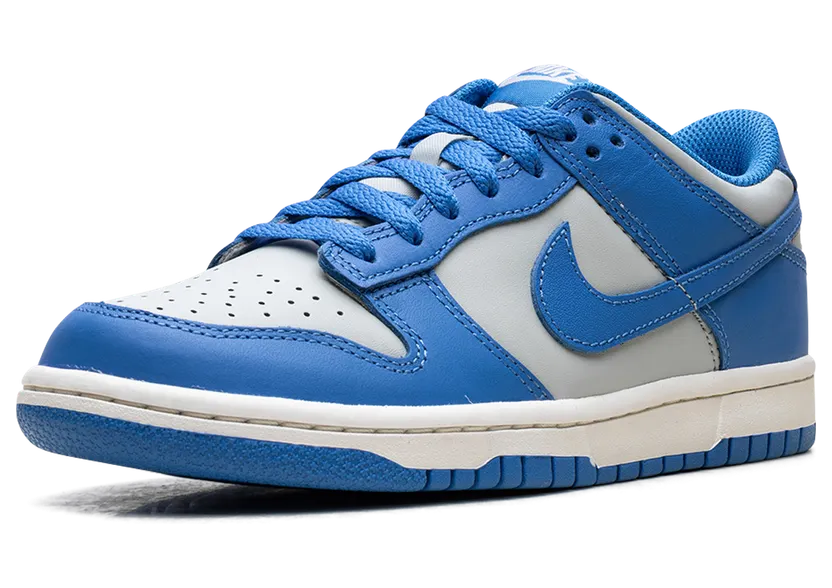 nike-dunk FB9109-004