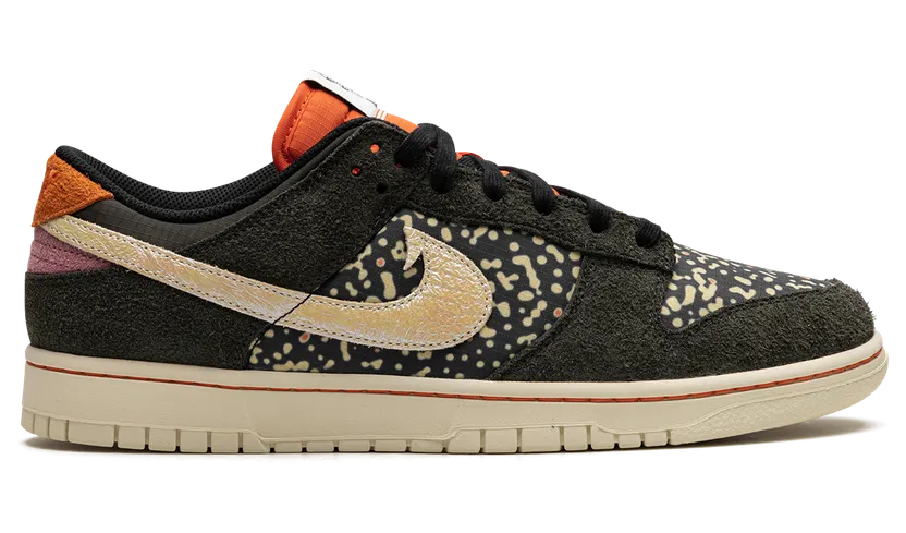 nike-dunk FN7523-300