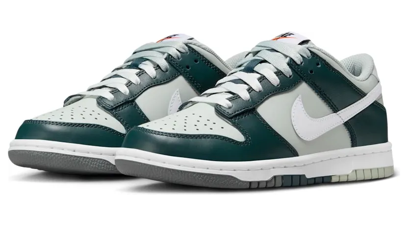 nike-dunk FB9109-300
