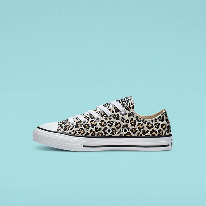 converse-chuck-taylor-all-star 366297C