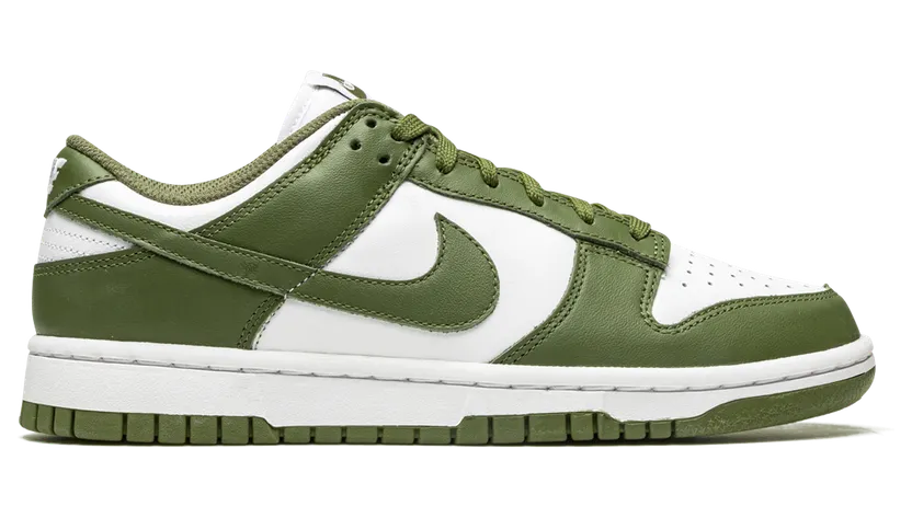 nike-dunk DD1503-120