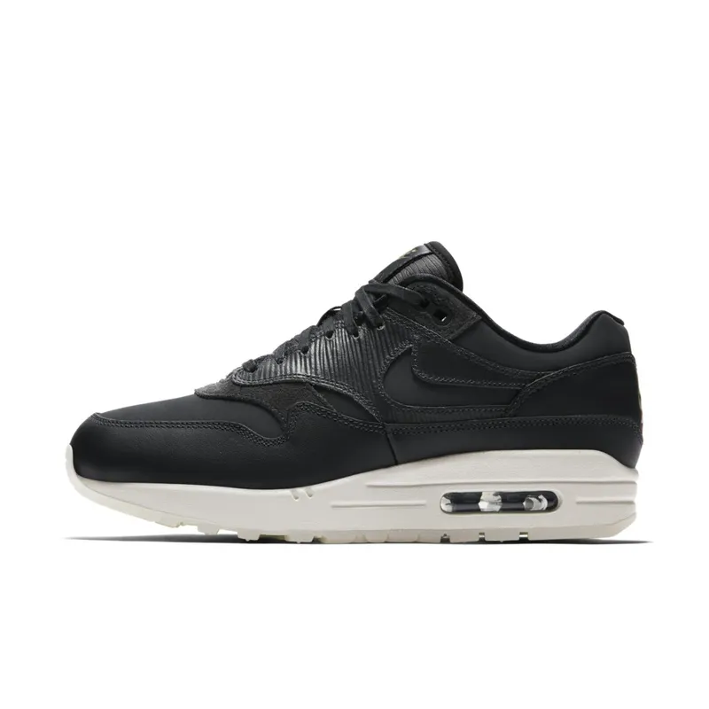 Nike Air Max 1 Anthracite (W) Anthracite/Anthracite-Black (454746-016)