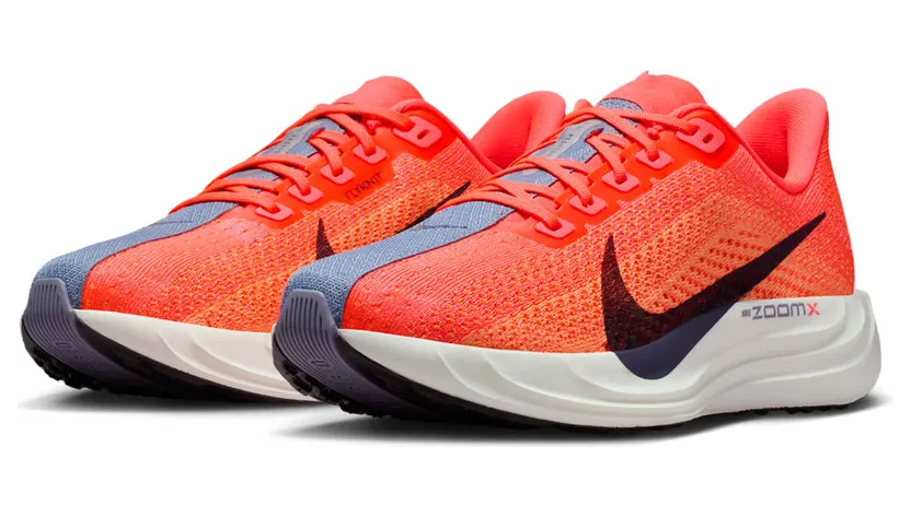 nike-air-pegasus FQ7261-801