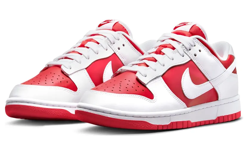 nike-dunk DD1391-600