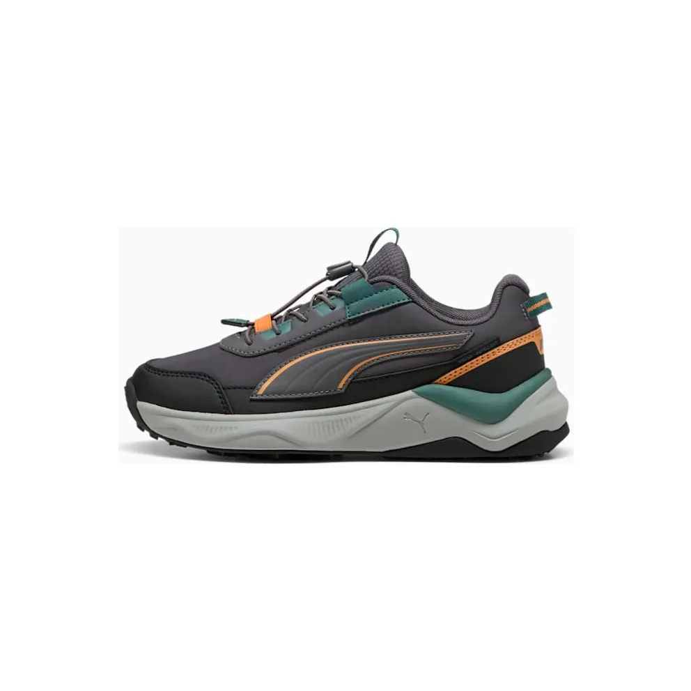 Puma sneaker Dark Grey (31380401)