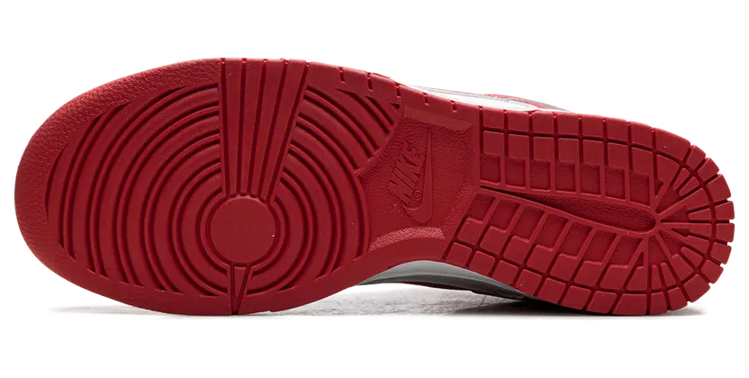 nike-dunk HF5441-104