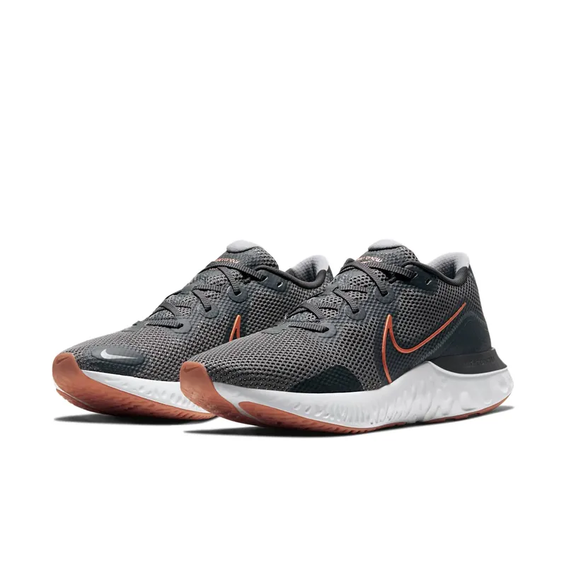 Nike Renew Run Iron Grey Copper (CK6357-004)