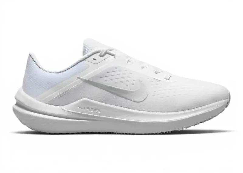 Nike Air Winflo 10 White Metallic Silver (DV4023-102)