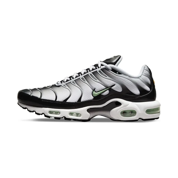 Nike TN Air Max Plus Seafoam Grey “White / Black / Reflect Silver / Fresh Mint” (DH4776-100)