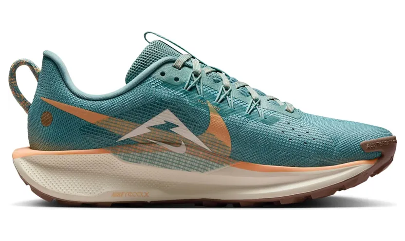 nike-air-pegasus DV3865-010