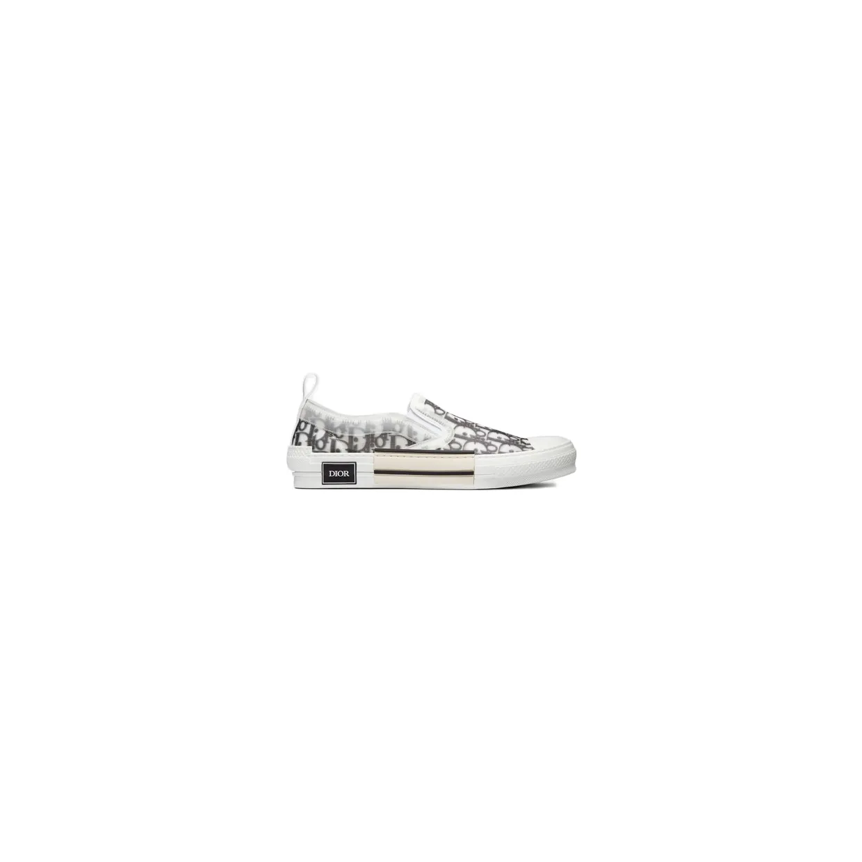 Dior And Shawn B23 Slip On Logo Oblique (3SN262YJP_H069)