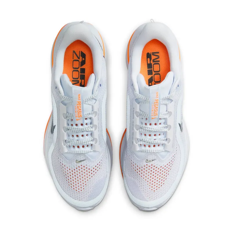 Nike Air Zoom Pegasus Premium “Airscape” (HQ2593-001)