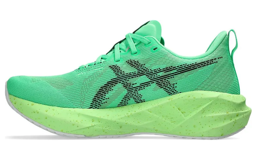 asics-novablast 1011C224-300