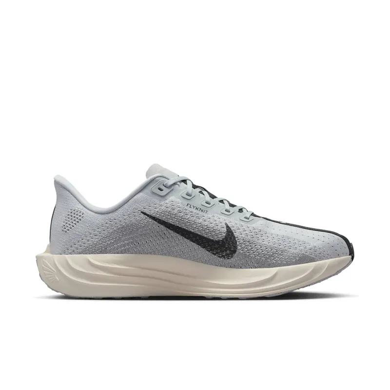 Nike Pegasus Pure Platinum/Wolf Grey/Sail/Anthracite (FQ7262-017)