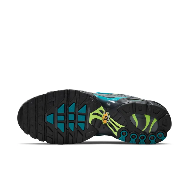 Nike Air Max Plus Grey (DJ6896-070)