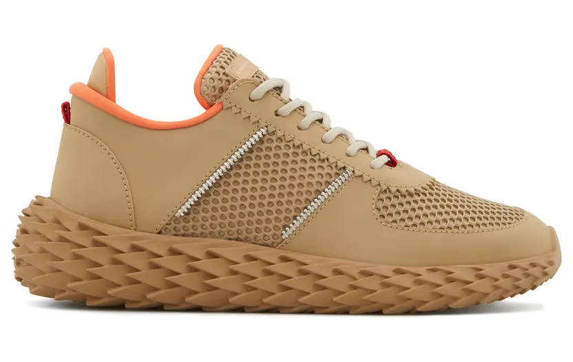 Giuseppe Zanotti Urchin (RM00029005)