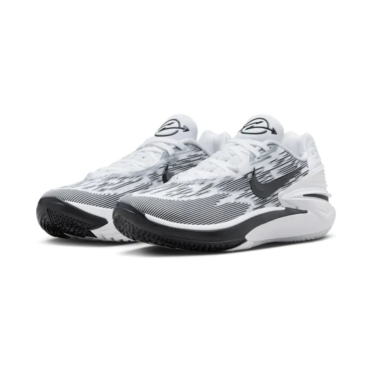 nike-air-zoom FJ8915-100