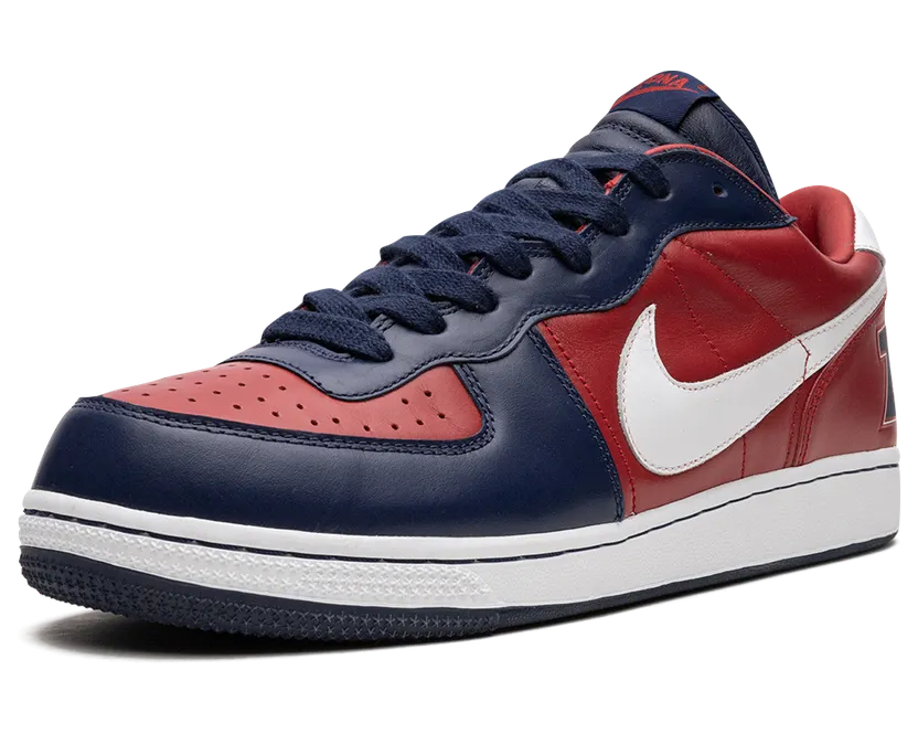 nike-terminator 310208-611