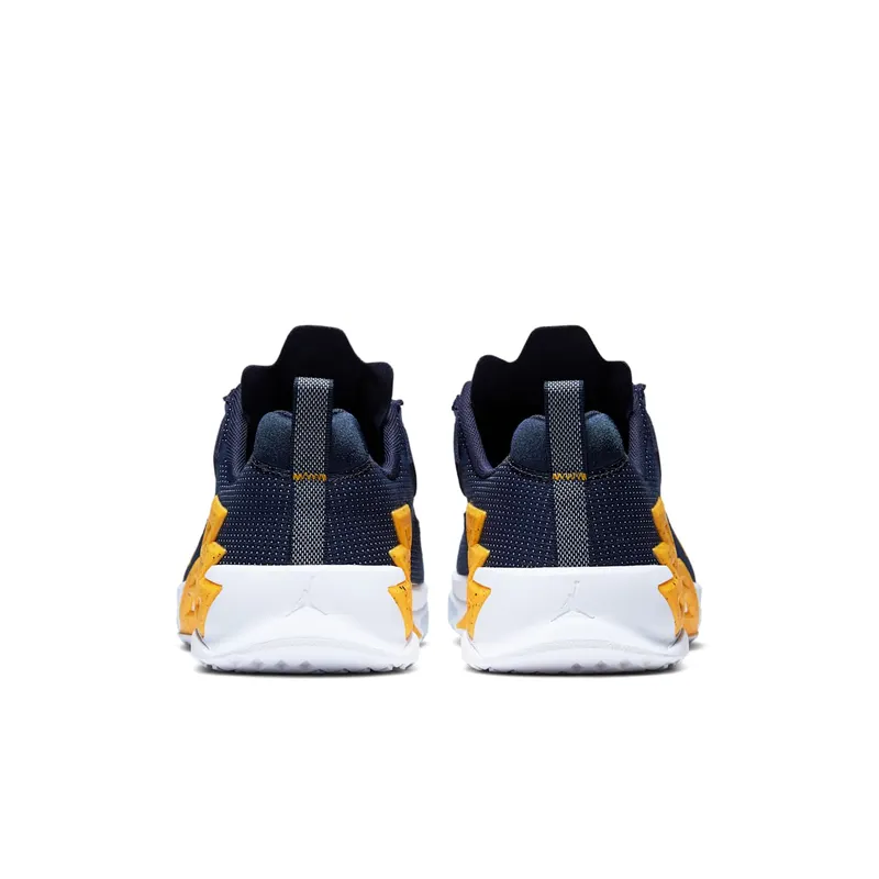 Jordan Alpha 360 TR Michigan (CQ6425-417)