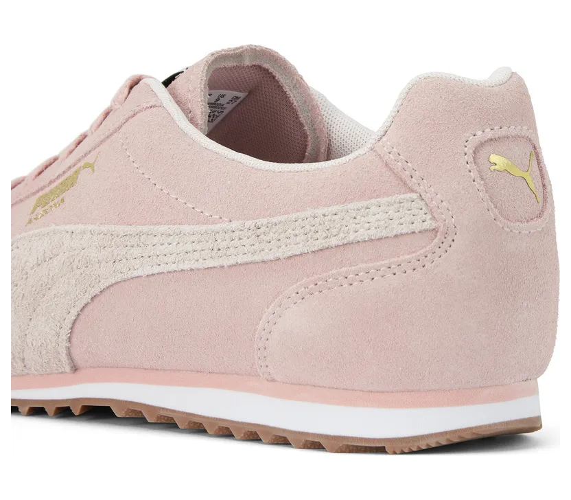 puma-arizona 402362_03