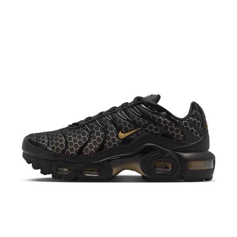 Nike Air Max Plus Black/Chalk/Baroque Brown/Linen (IQ7580-010)
