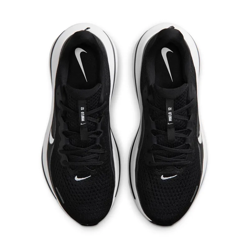 Nike Winflo 12 Black (HV9273-002)