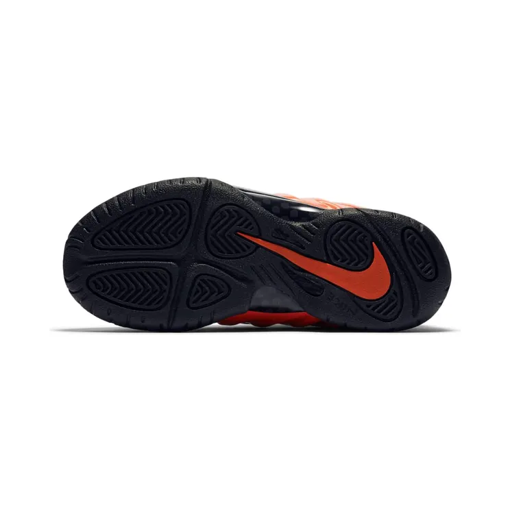nike-air-foamposite 723946-603