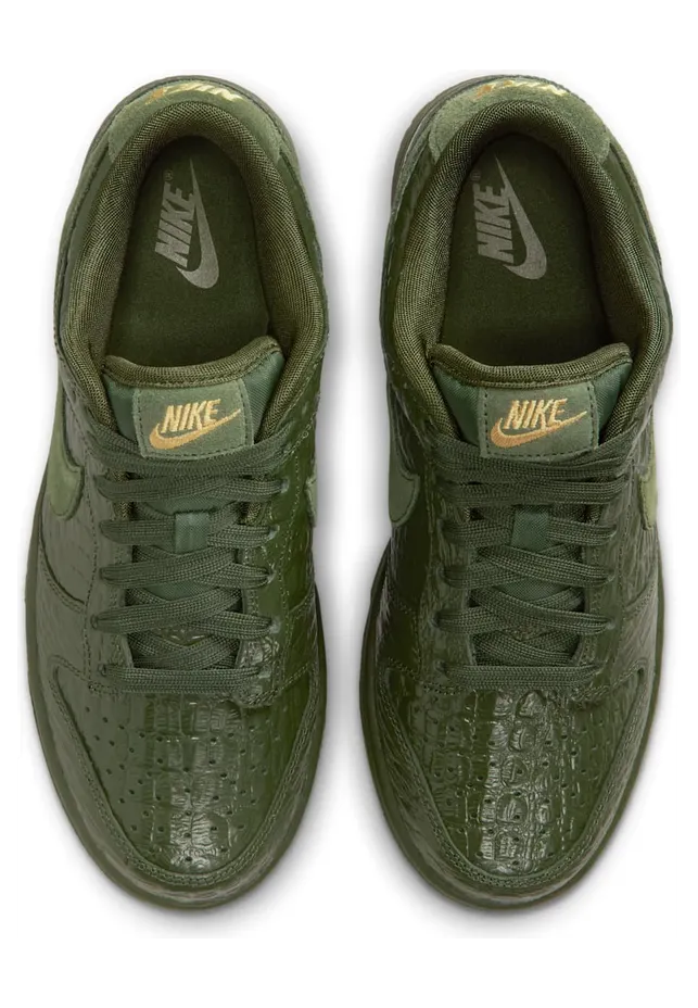 nike-dunk HV4388-300