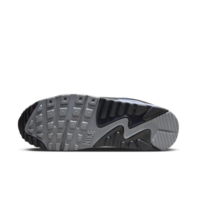 Nike Air Max 90 “Light Thistle” (DM0029-014)
