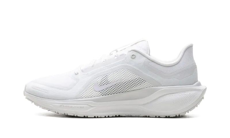 Nike Air Zoom Pegasus 41 “Gore-Tex” (FQ1356-101)