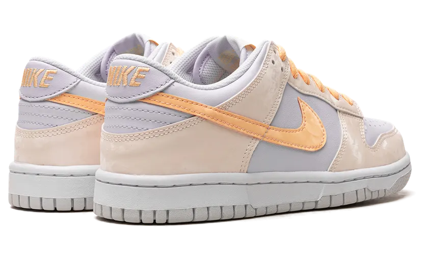 nike-dunk FB9109-100