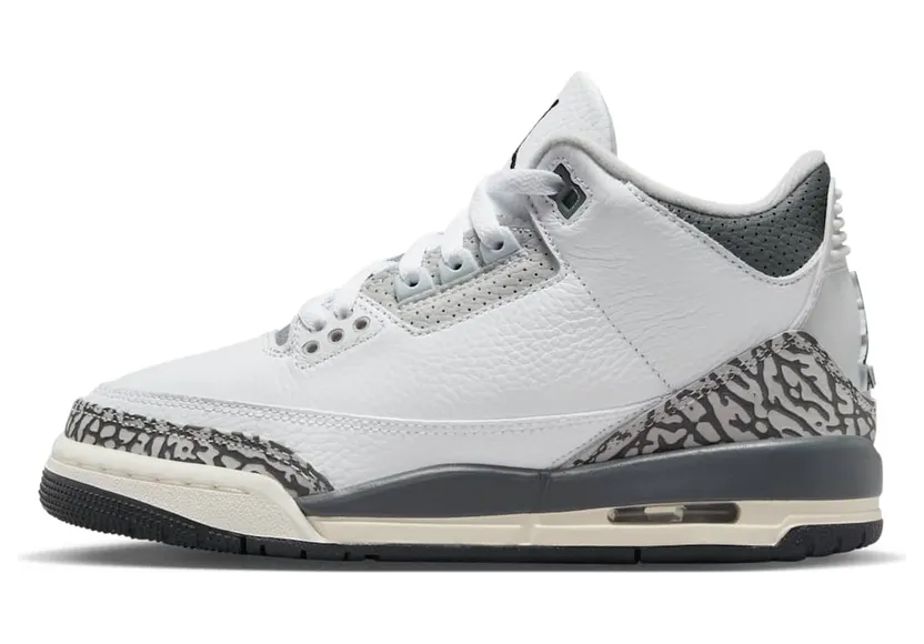 Air Jordan 3 DX6665-100