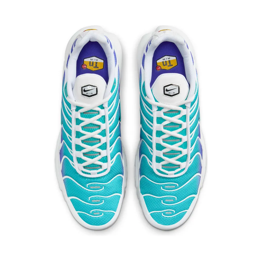 Nike Air Max Plus Aqua (DM0032-102)